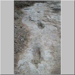 102_6268 (2013-08-08)m.JPG